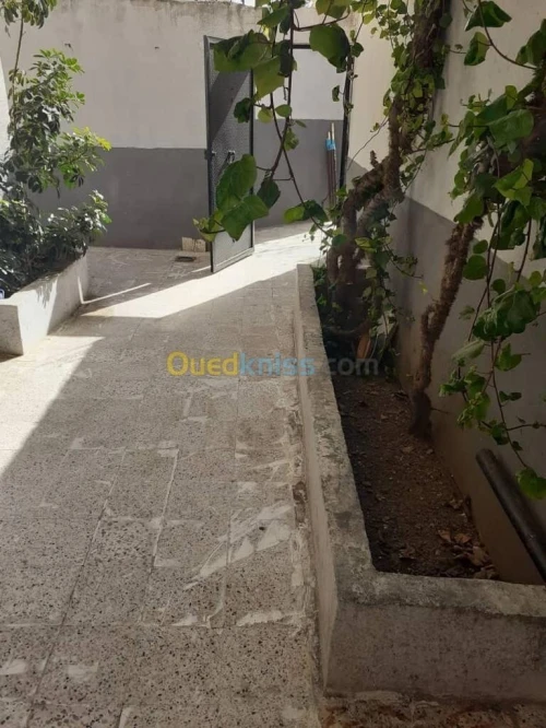 Vente Appartement F3 Alger El marsa