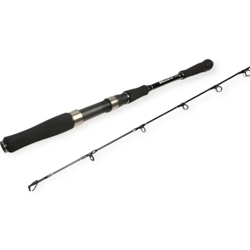 Canne Jigging 1.80 m  Puissance 100 300 g