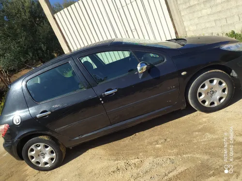 Peugeot 307 2007 Oxygo