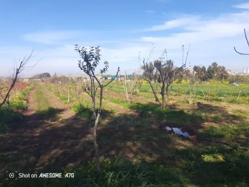Formation Excellence Agroécologie & Permaculture (2026)