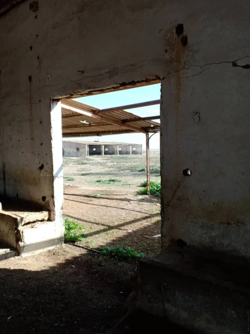 Vente Terrain Agricole Aïn Témouchent Oued sabah