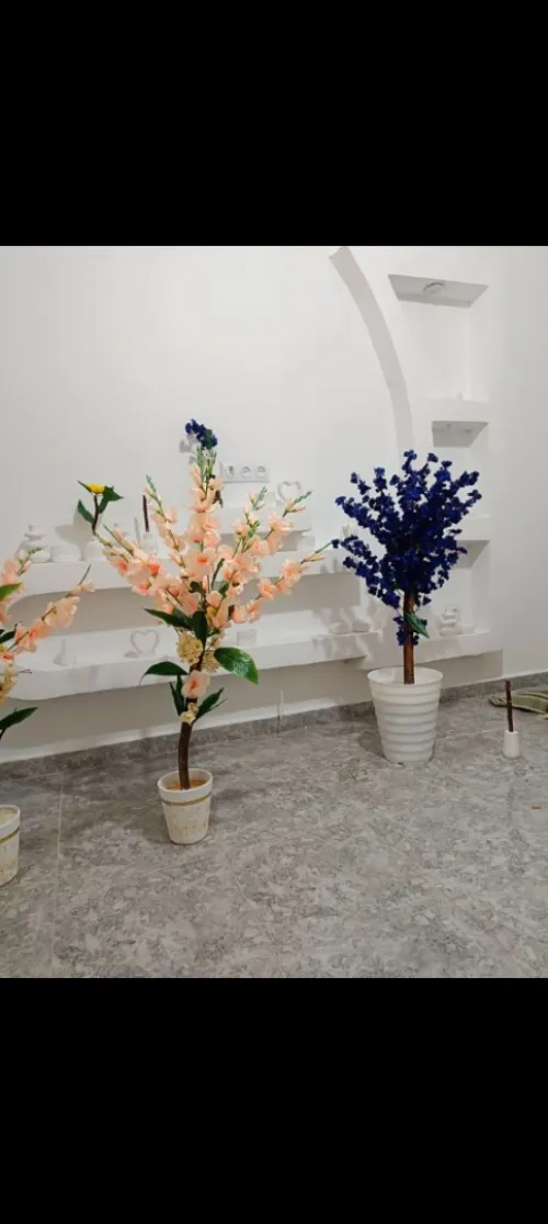 Plants arteficilles اشجار زينة 