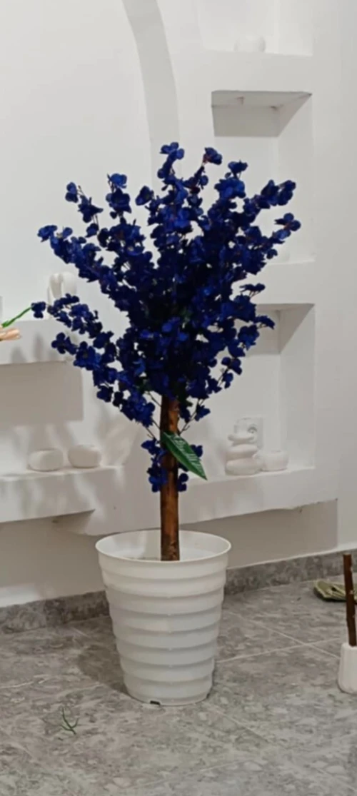 Plants arteficilles اشجار زينة 
