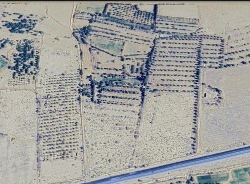 Vente Terrain Agricole Biskra Sidi okba
