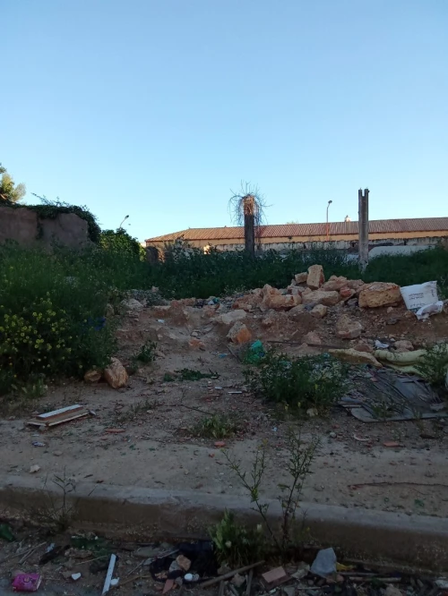 Vente Terrain Aïn Témouchent El malah