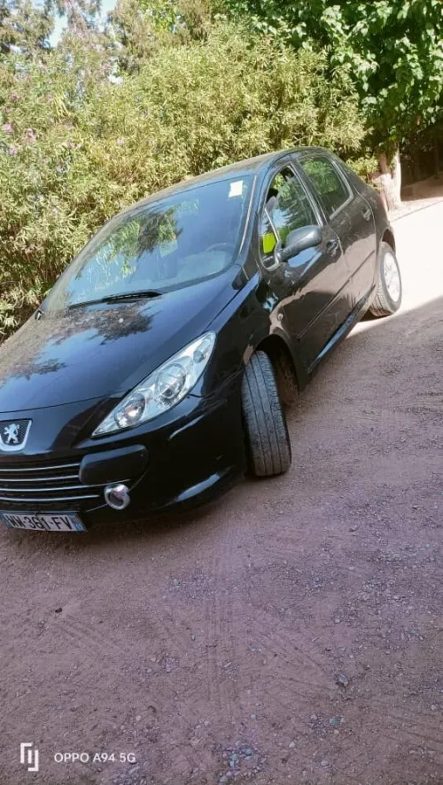 Peugeot 307 2005 307