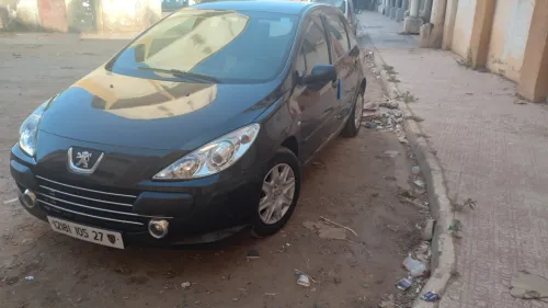 Peugeot 307 2005 307