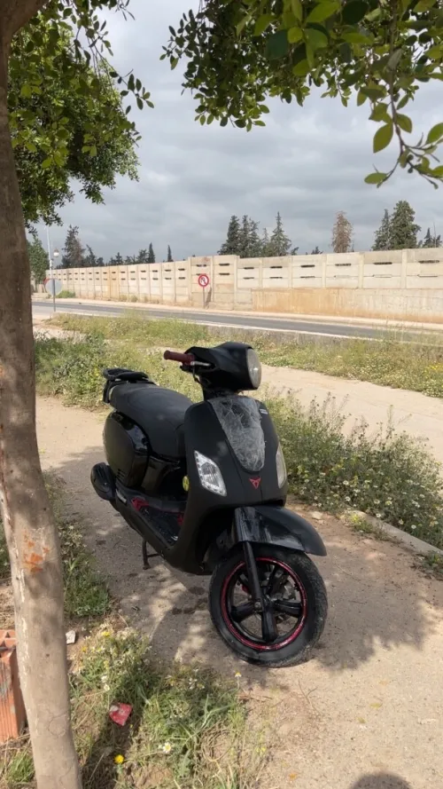 Sym Fiddele 3 2019