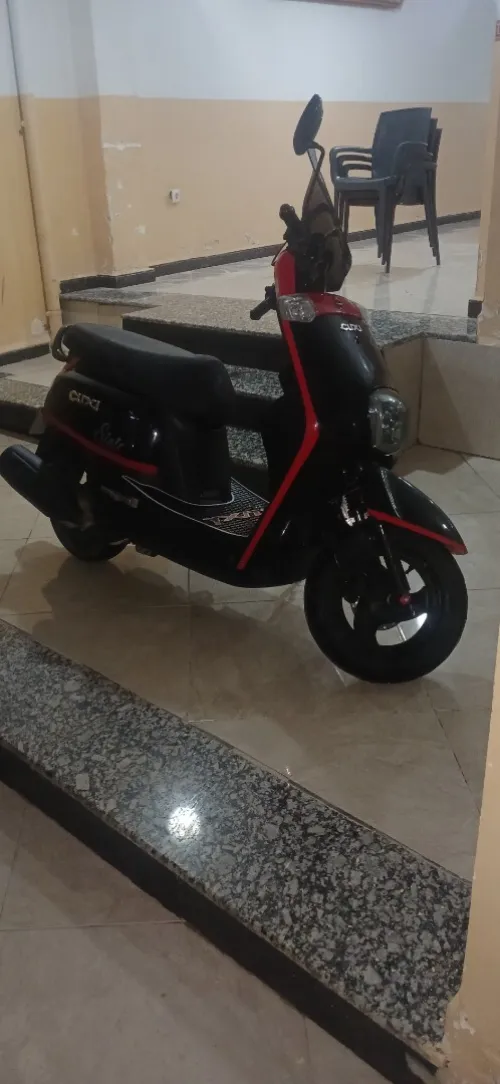 Vms Cuxi estat 2022