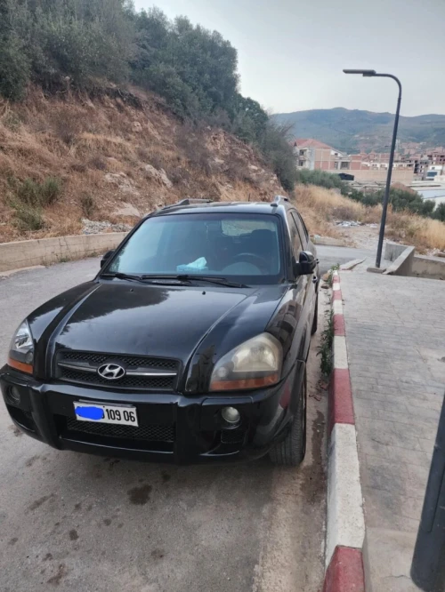 Hyundai Tucson 2009 Tucson