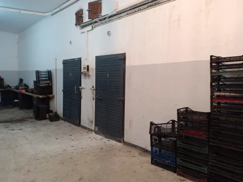 Vente Hangar Tlemcen Tlemcen