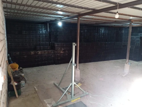 Vente Hangar Tlemcen Tlemcen
