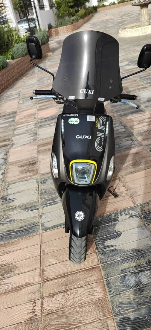 Cuxi Cuxi 2023