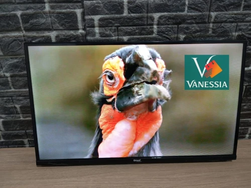 Téléviseur Géant 32P+support+démo