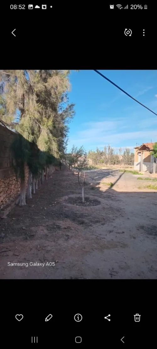 Vente Terrain Sidi Bel Abbès Amarnas