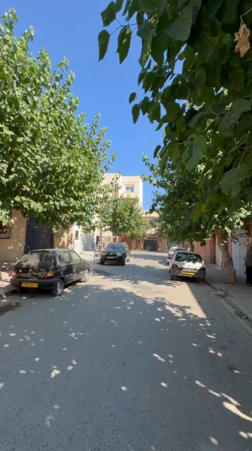 Vente Appartement F3 Alger El harrach