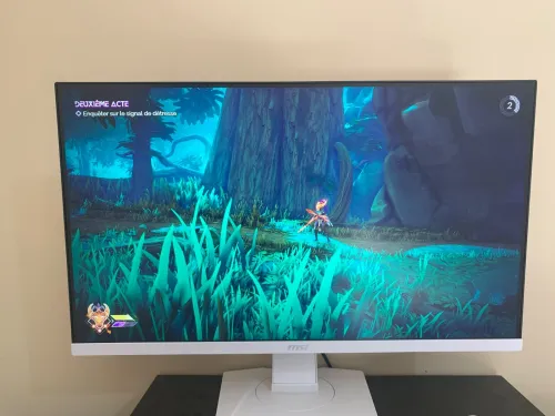 Moniteur gaming