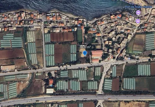 Vente Terrain Tipaza Fouka