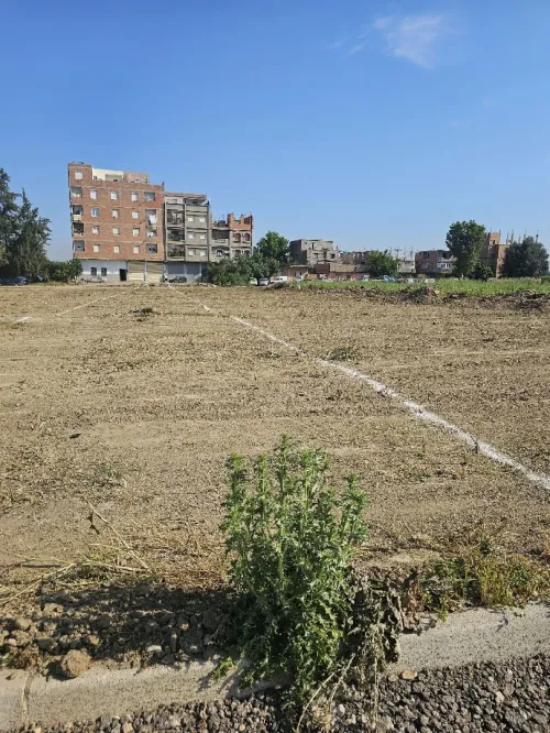 Vente Terrain Alger Sidi moussa