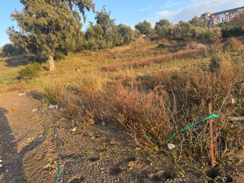 Vente Terrain Jijel El aouana