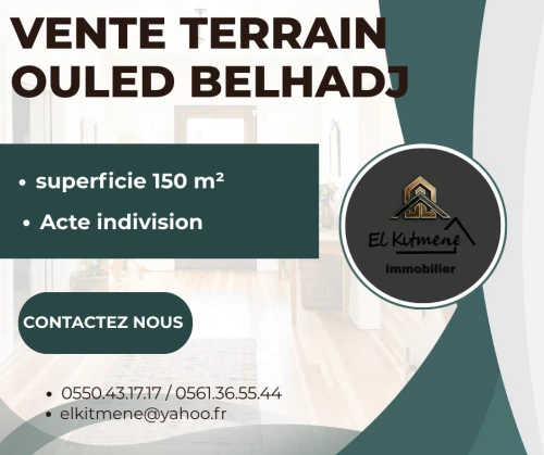Vente Terrain Alger Saoula