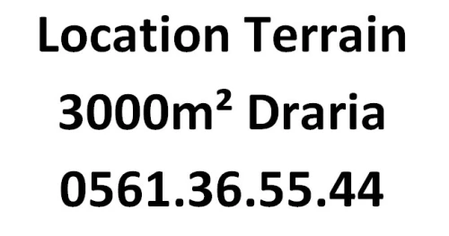 Location Terrain Alger Draria