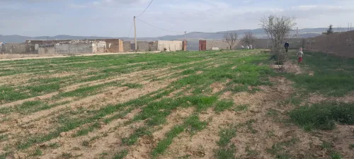 Vente Terrain Agricole Tlemcen Hennaya