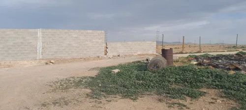Vente Terrain Agricole Tlemcen Hennaya