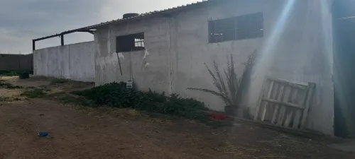 Vente Terrain Agricole Tlemcen Hennaya