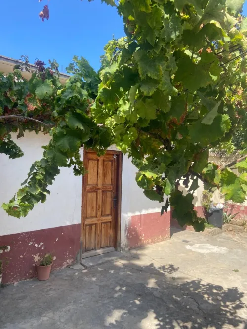 Vente Villa Alger Ain taya