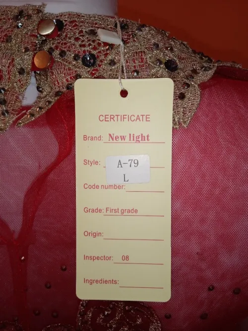 Robe soirée sari hindi