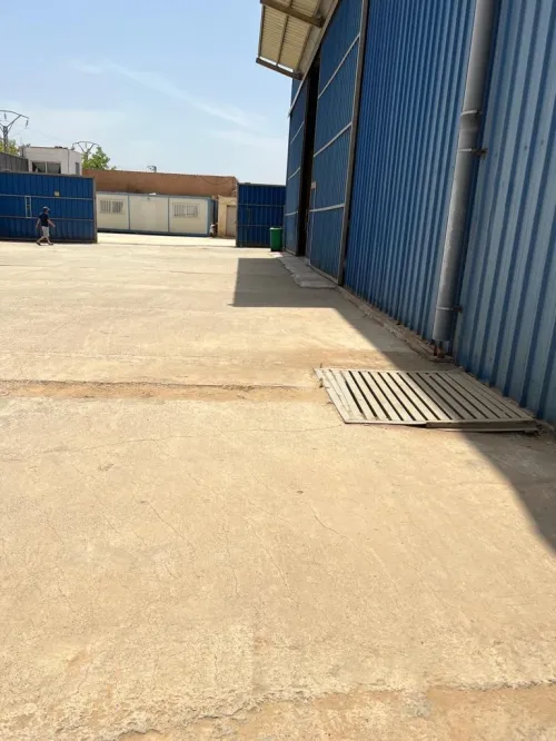 Location Hangar Tipaza Kolea