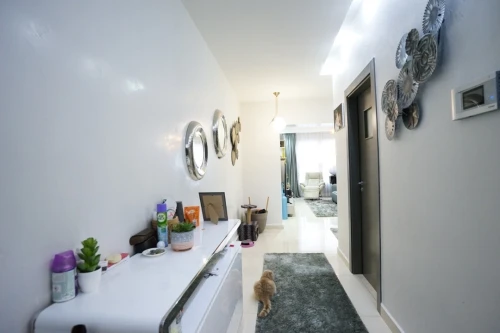 Vente Appartement F4 Alger Dely brahim