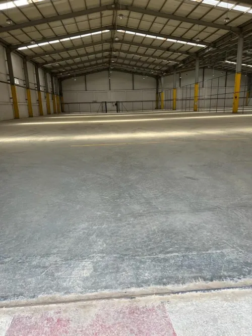 Location Hangar Tipaza Kolea