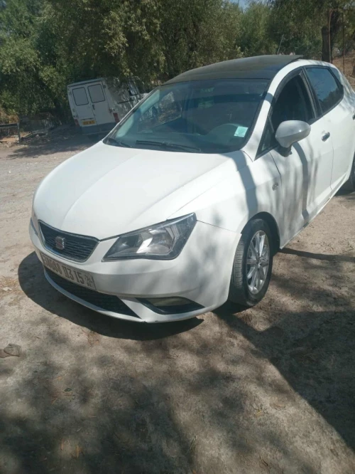 Seat Ibiza 2013 Ibiza