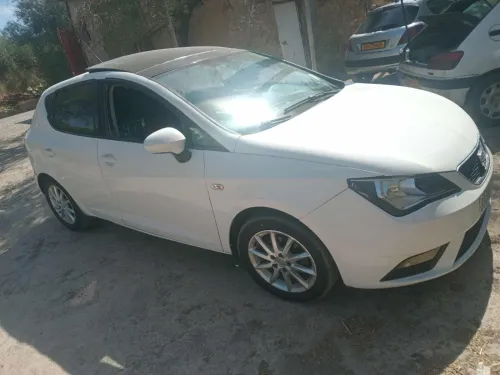 Seat Ibiza 2013 Ibiza