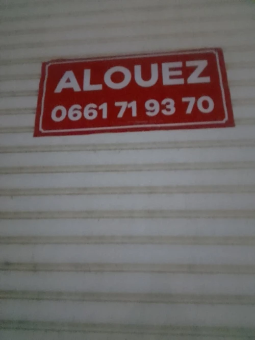 Location Local Tlemcen Mansourah