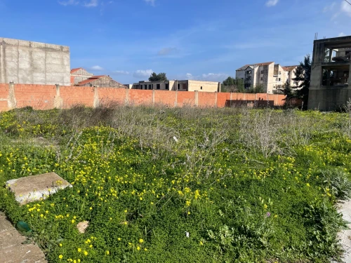 Vente Terrain Blida Ben khellil