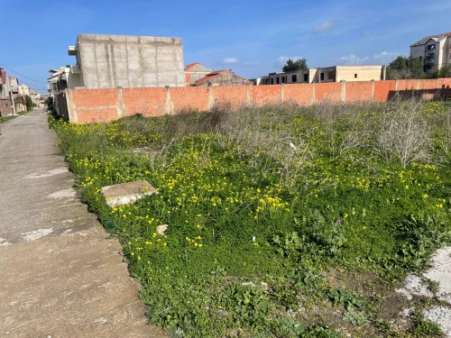 Vente Terrain Blida Ben khellil