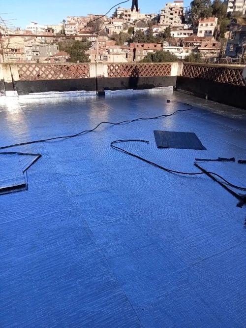 Travaux étanchéité général 