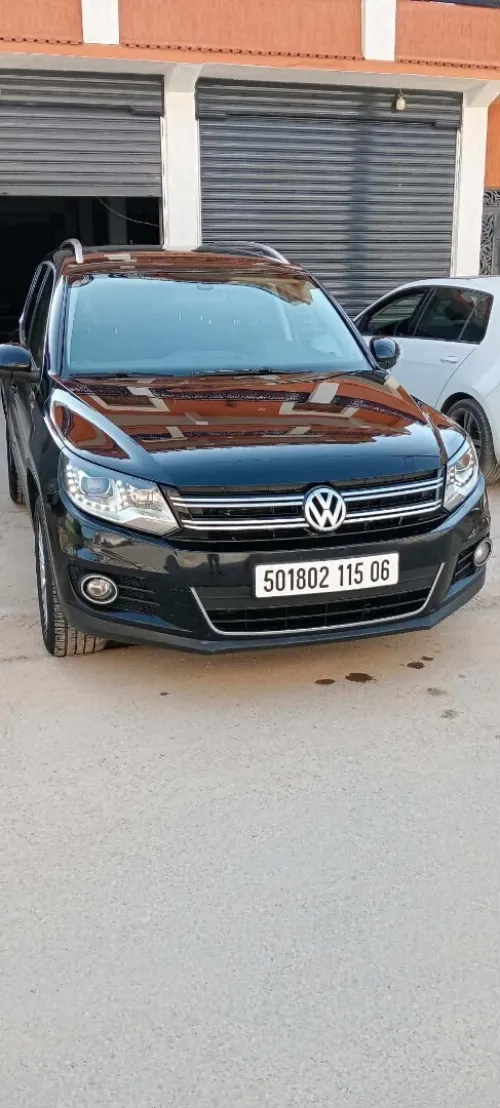Volkswagen Tiguan 2015 cup