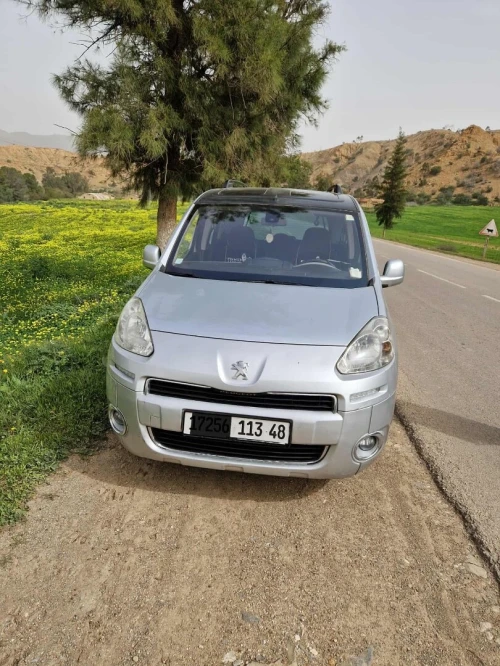Peugeot Partner 2013 Tepee