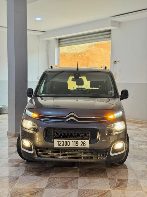 Citroen Berlingo 2019 Rifter