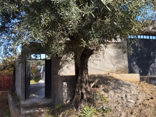 Vente Villa Jijel Kemir oued adjoul
