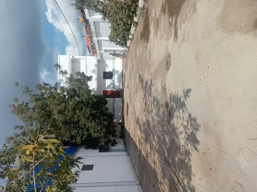 Location Hangar - Usine Blida Bouinan