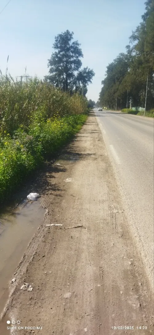 Vente Terrain Alger Sidi moussa