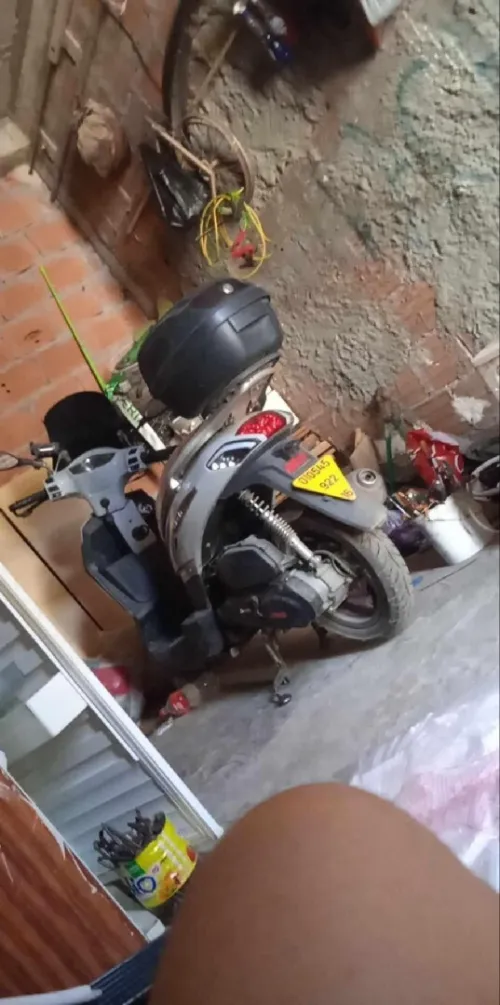 Vms Flash twister 2022