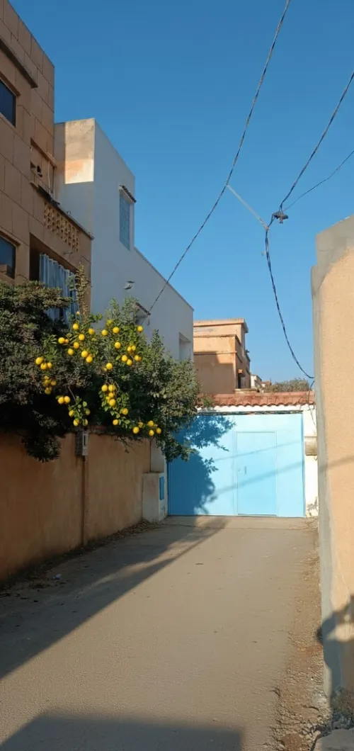 Vente Villa Tipaza Bou ismail