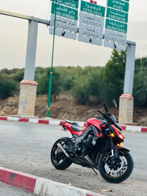 Kawasaki Z1000 2018