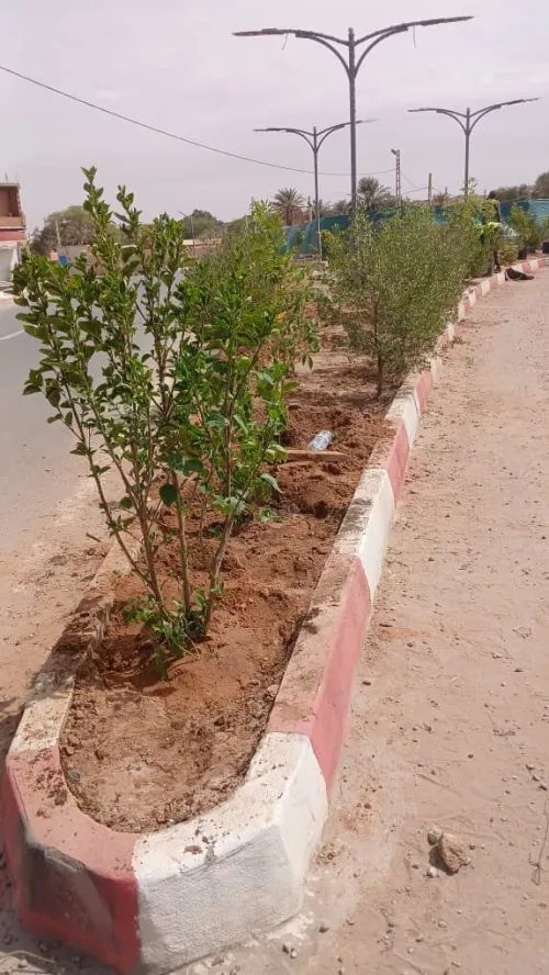 Aménagement des espaces verts